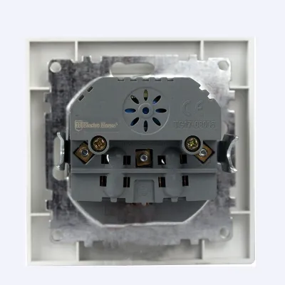 Розетка USB подвійна + розетка 2 A, 16 а Enzo білий EH-5321