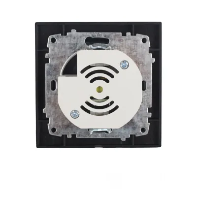 Розетка USB (2 порти) 2 A графіт EH-5320-PG