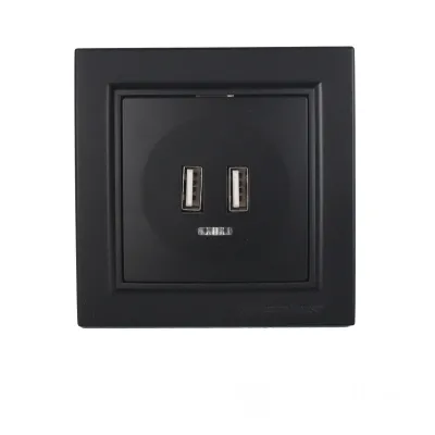 Розетка USB (2 порти) 2 A  графіт