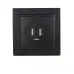 Розетка USB (2 порти) 2 A графіт EH-5320-PG