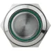 TYJ 19-272 Кнопка металлическая плоская с подсветкой, 2NO + 2NC, зеленый 220V.