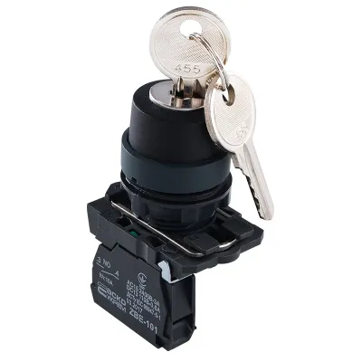TB5-AG21 Кнопка поворотная с ключом 2-позиционная ACKO A0140010153