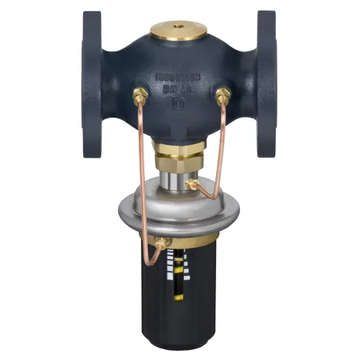 AVPA, PN 25, DN 40, 20.00 м³/год, 0.20 бар - 1.00 бар, Фланець  003H6609