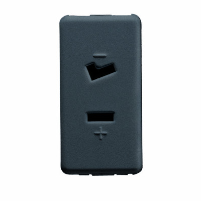 SELV розетка 2P 6A 24V Поляризация 1 модуль серия System цвет - Black GW21234