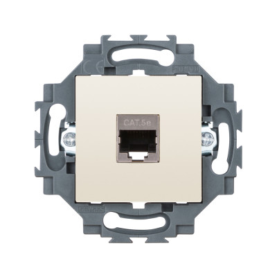 RJ45 розетка Витая пара Category 5e  Инструмент 2 модуля цвет - Слоновая кость Серия Dahlia GW35272Y