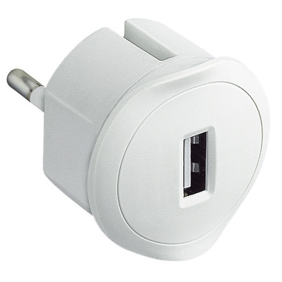 Адаптер для путешествий с USB зарядкой 50680 Legrand, цвет белый