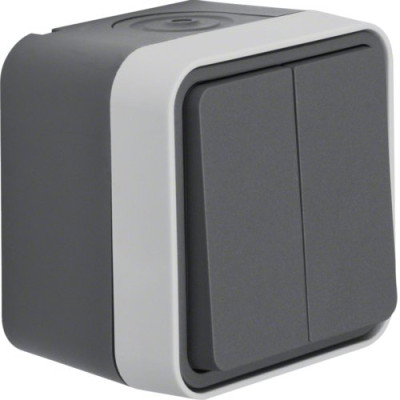 Кнопка 2-клавішна IP55, сірий, 10АX/250В W.1