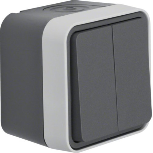 Кнопка 2-клавішна IP55, сірий, 10АX/250В W.1