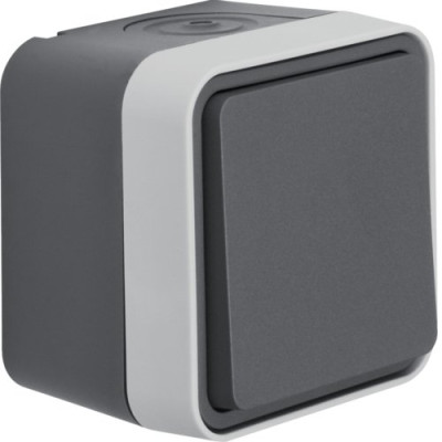 Кнопка IP55, сіра, 10АX/250В W.1
