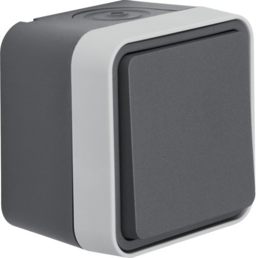 Кнопка IP55, сіра, 10АX/250В W.1