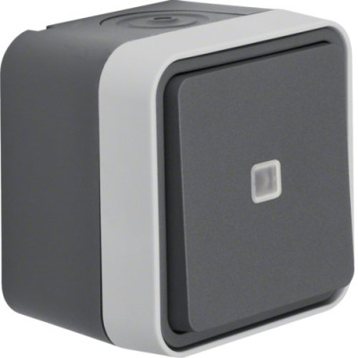 Кнопка с подсветкой IP55, серый, 10АX/250В W.1