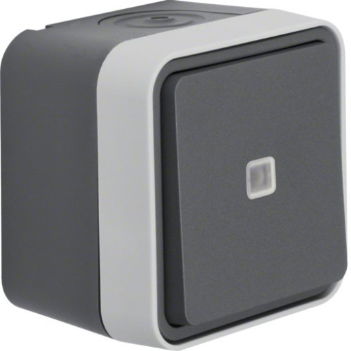 Кнопка с подсветкой IP55, серый, 10АX/250В W.1