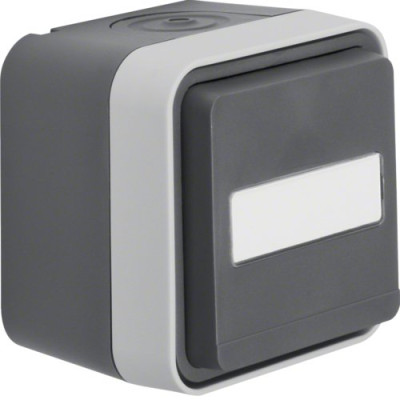 Розетка з з/к, поле д/напису, IP55, сіра, 16А/250В W.1