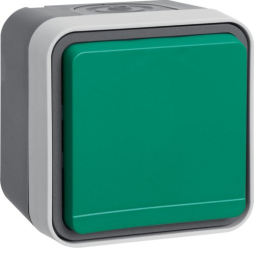 Розетка з з/к з зеленою кришкою IP55, сіра, 16А/250В W.1
