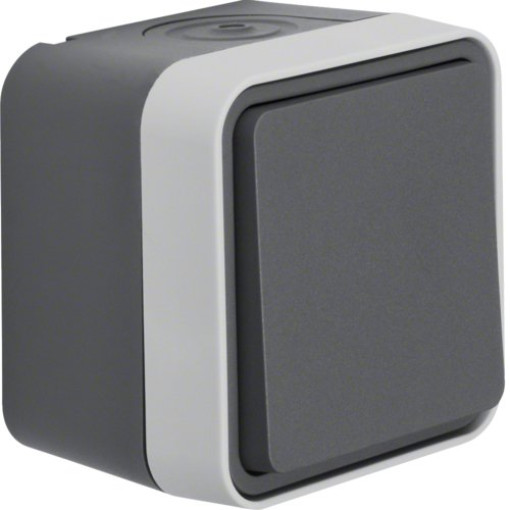 Вимикач хрестовий IP55, сірий, 10АX/250В W.1
