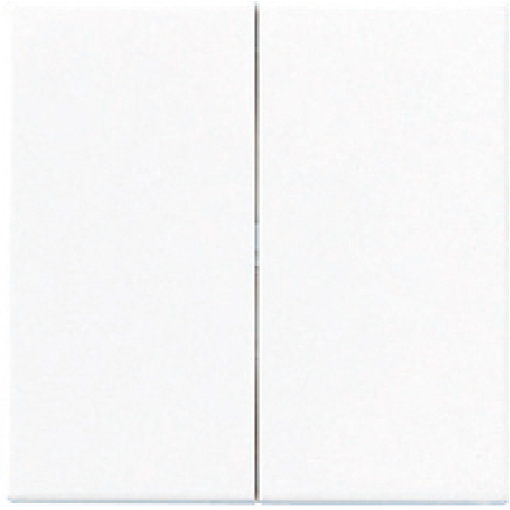 Клавиша 2-я JUNG A595WW белый