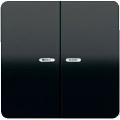 Клавиша 2-я JUNG CD595SW черный