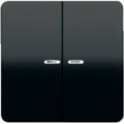 Клавиша 2-я с подсветкой JUNG CD595KO5SW черный Клавиша 2-я с подсветкой JUNG CD595KO5SW черный