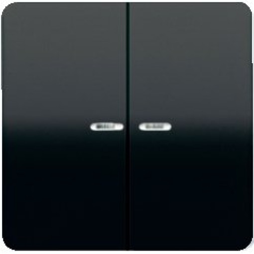 Клавиша 2-я с подсветкой  JUNG CD595KO5SW черный