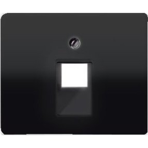 Панель розетки TF/PC 1-я  JUNG SL569-1UASW черный