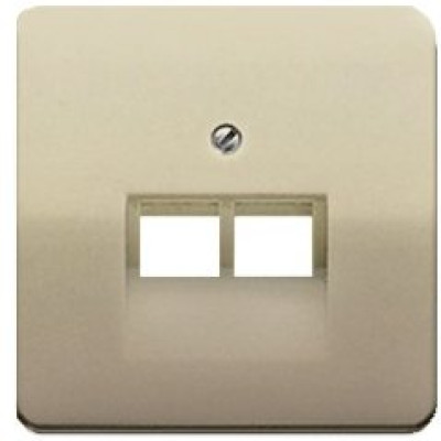 Панель розетки TF/PC 2-а JUNG CD569-2UAGB бронза