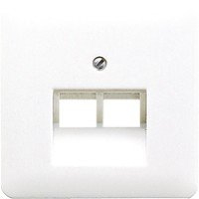 Панель розетки TF/PC 2-а JUNG CD569-2UAWW білий