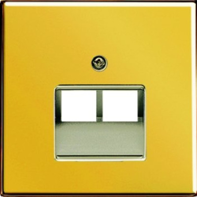 Панель розетки TF/PC 2-а JUNG GO2969-2UA імітація золота