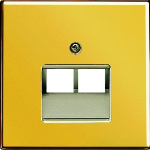 Панель розетки TF/PC 2-а JUNG GO2969-2UA імітація золота