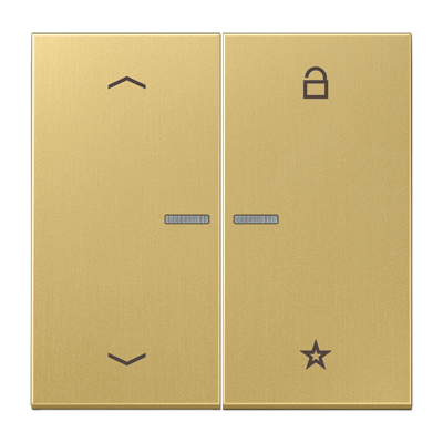 Центральная плата универсальная «стрелки» JUNG ME1701PC латунь Classic
