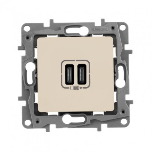 Розетка з двома USB-роз`ємами тип C + тип C 240V/5V 3000мА Legrand Etika 672335, колір слонова кістка