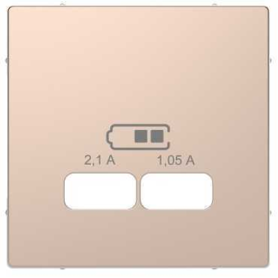 Центральна панель D-Life для USB «Шампань»