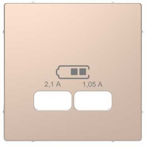 Центральна панель D-Life для USB «Шампань»
