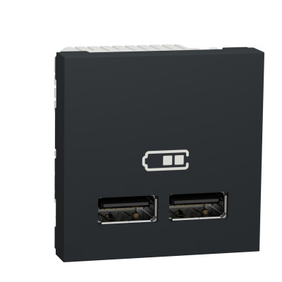 Розетка USB двойная 2.1А 2 модуля антрацит NU341854