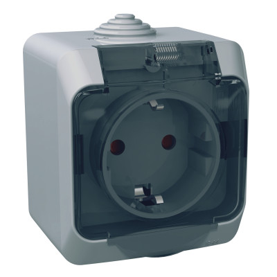 Розетка з прозорою захисною крышкой Schneider Electric Cedar Plus, IP44, серый WDE000643