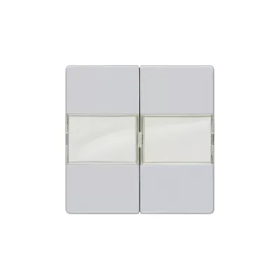 DELTA I-SYSTEM алюминевый металлик выключатель 2 клавиши с полем для надписи 55X55MM Siemens 5TG6252