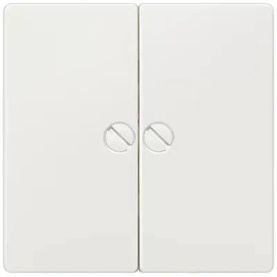 DELTA I-SYSTEM титановый металлик выключатель 2 клавиши фиксированные винтами 55X55MM Siemens 5TG6265