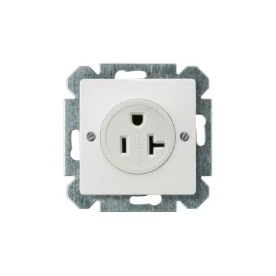 DELTA I-SYSTEM NEMA розетка титановобелый 2-пол +E NEMA 5-20 R 125V 20A Siemens 5UB1534