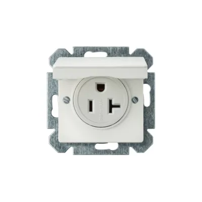 DELTA I-SYSTEM NEMA розетка с крышкой титановобелый 2-пол + E NEMA 5-20 R 125V 20A Siemens 5UB1535