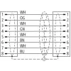 4048879876261 Murrelektronik 7000-51001-7900050 купити m12 зовнішня 0° / m12 зовнішня 0° x-код. екранований pur 4x2xawg26 екранований gn ul/csa 0,5 м